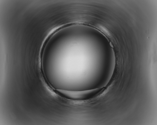 X0000087380940200704201243