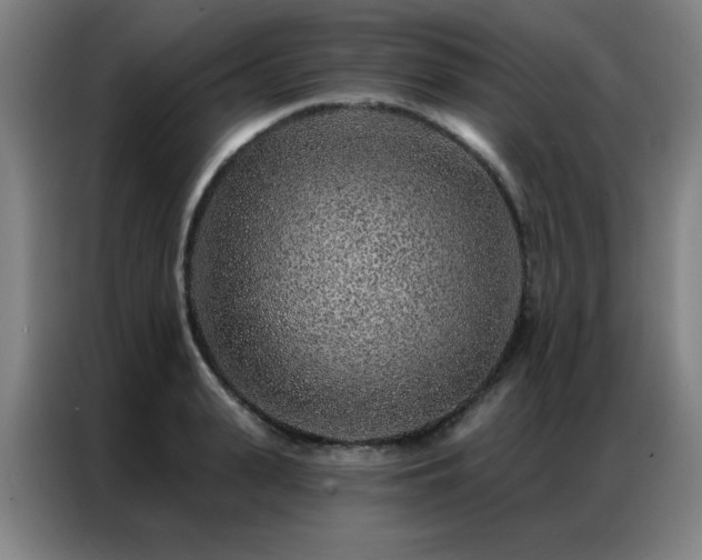 X0000087380943200704201243