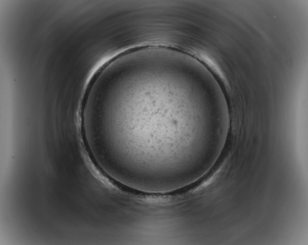 X0000087380944200704201243