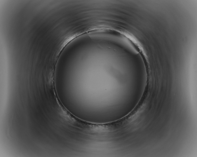 X0000087380945200704201243