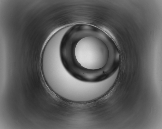 X0000087380948200704201243