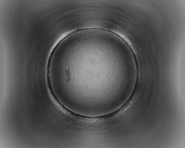 X0000087380949200704201243