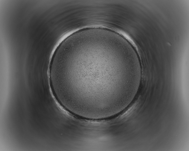 X0000087380951200704201243