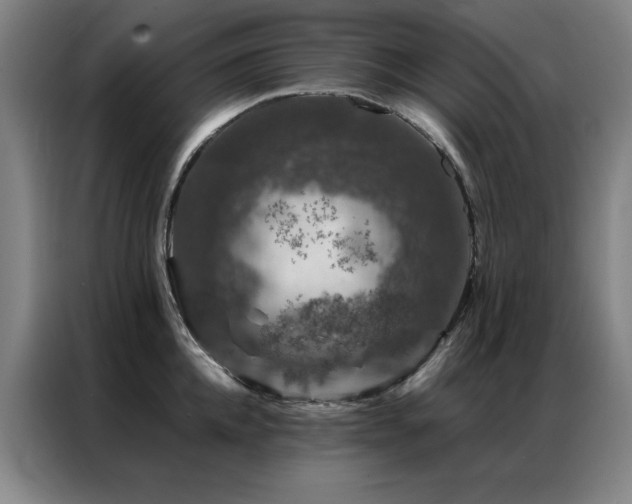 X0000087380952200704201243