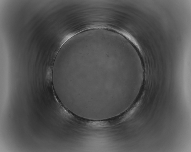 X0000087380953200704201243