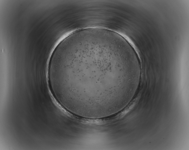 X0000087380957200704201243