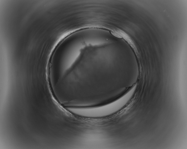 X0000087380958200704201243