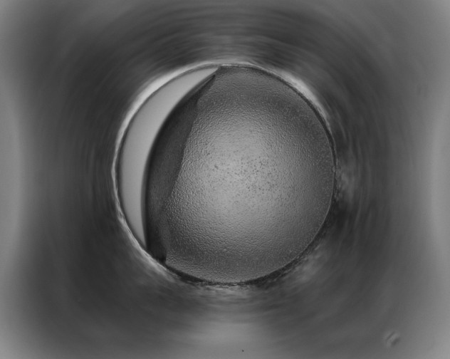 X0000087380959200704201243