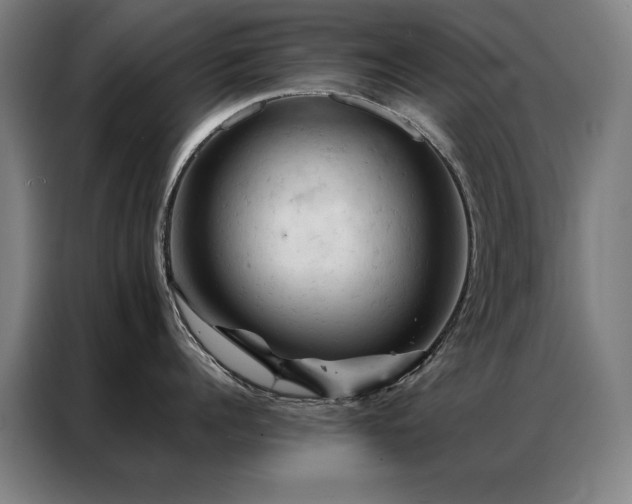 X0000087380960200704201243