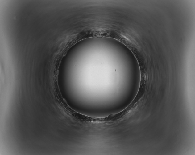 X0000087380961200704201242