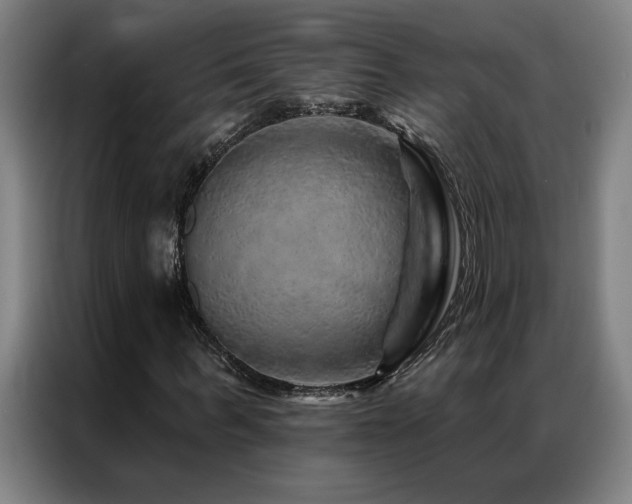 X0000087380963200704201242