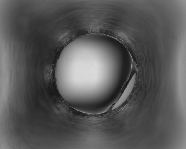 X0000087380964200704201242