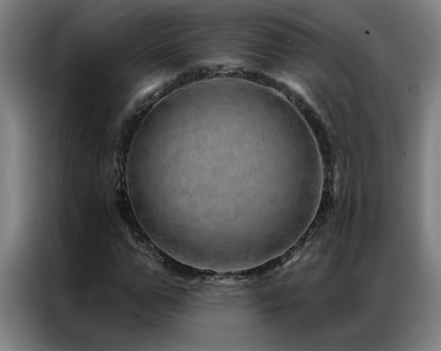 X0000087380967200704201242