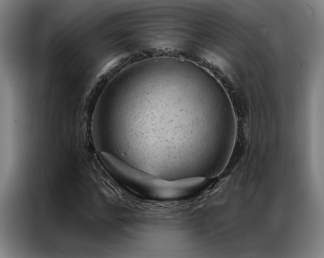 X0000087380968200704201242