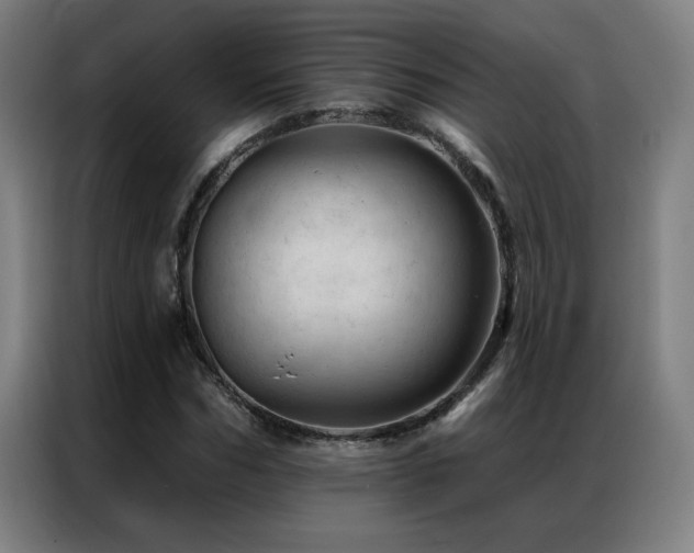 X0000087380970200704201242