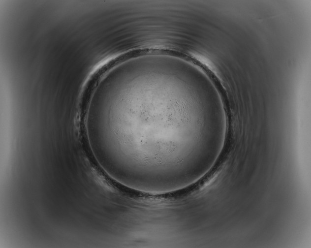 X0000087380971200704201242