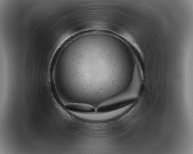 X0000087380972200704201242