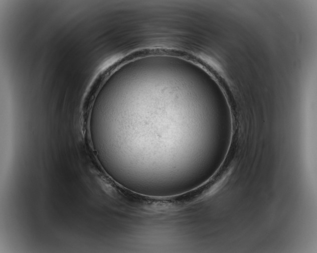 X0000087380974200704201242