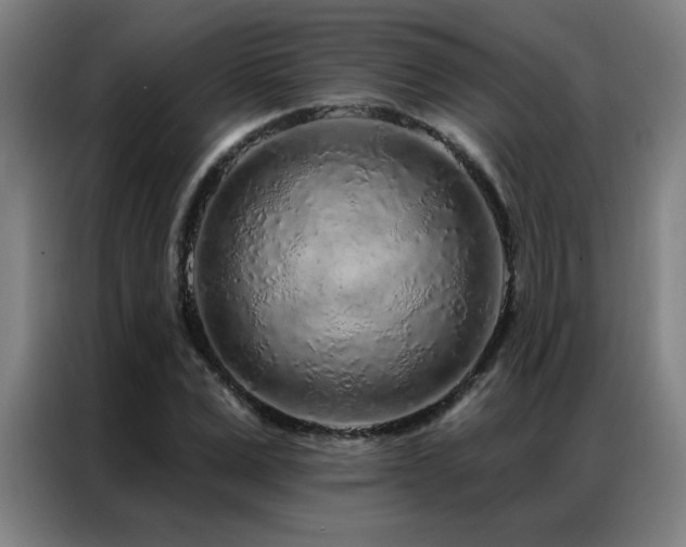 X0000087380975200704201242
