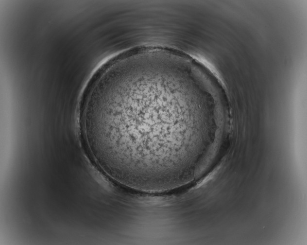X0000087380976200704201242