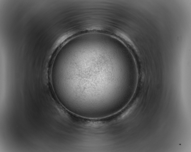 X0000087380978200704201242