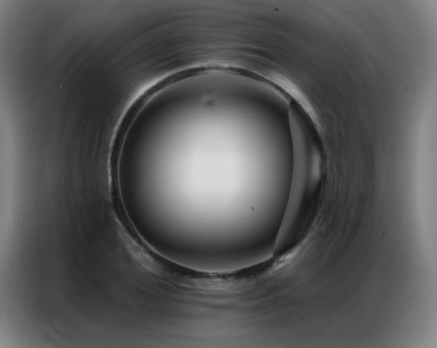 X0000087380980200704201242