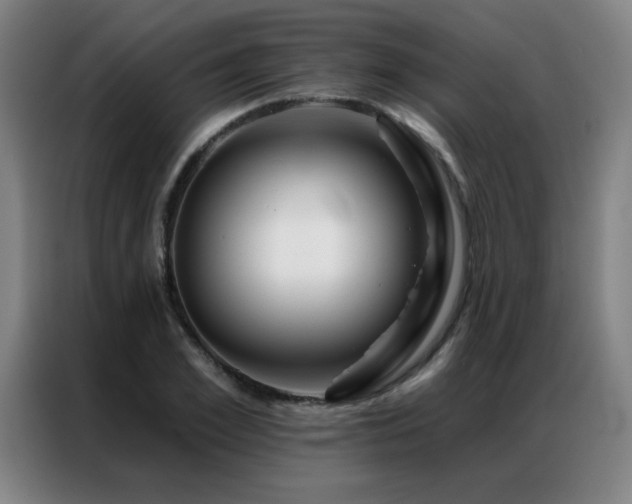 X0000087380981200704201242