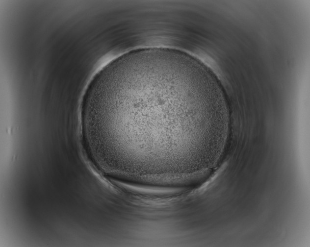 X0000087380982200704201242
