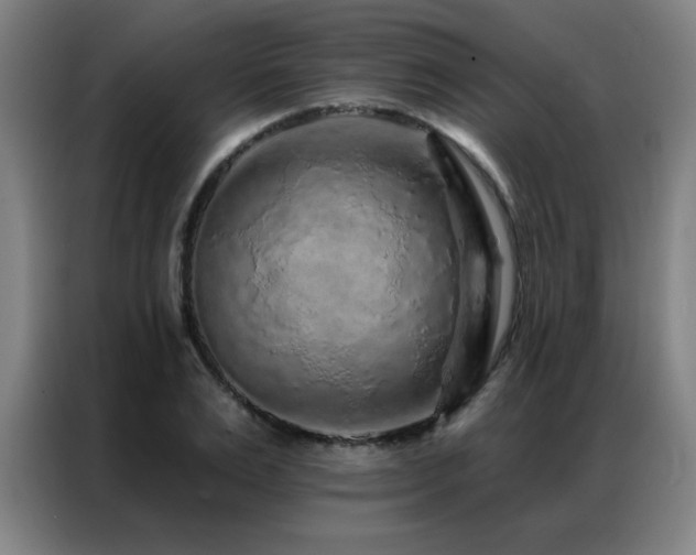X0000087380983200704201242