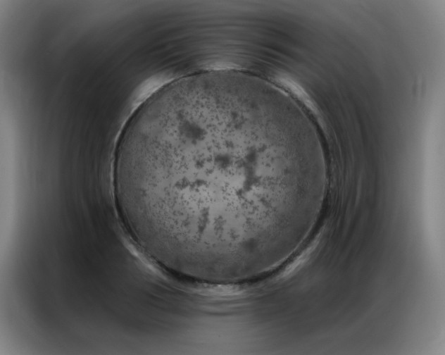 X0000087380986200704201242