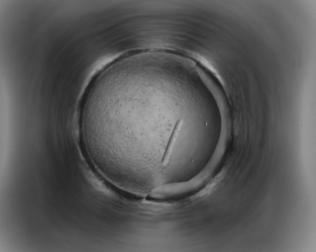 X0000087380987200704201242