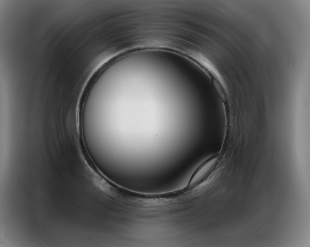 X0000087380988200704201242
