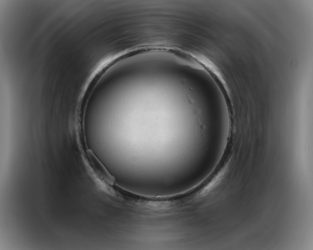 X0000087380989200704201242