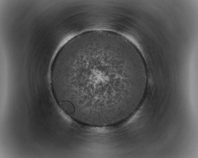 X0000087380990200704201242