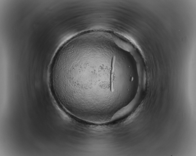 X0000087380991200704201242