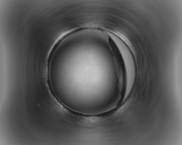 X0000087380992200704201242