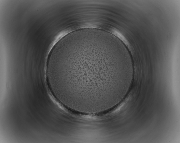 X0000087380994200704201242
