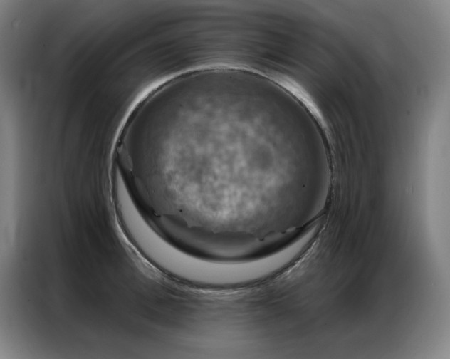 X0000087380996200704201242