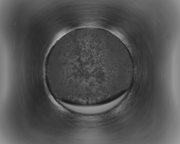 X0000087380998200704201242