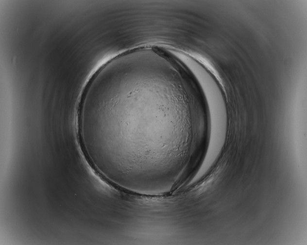 X0000087380999200704201242