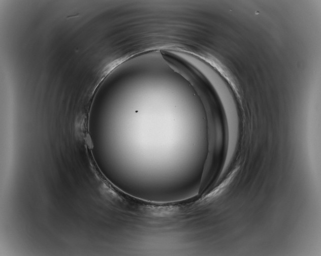 X0000087381001200704201242