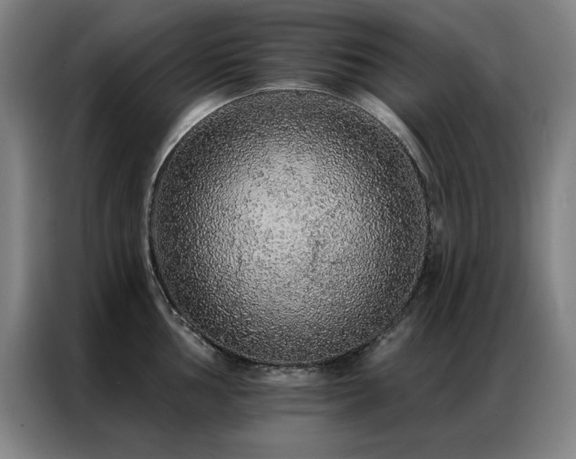 X0000087381002200704201242