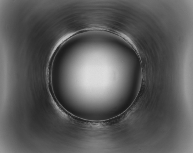 X0000087381003200704201242