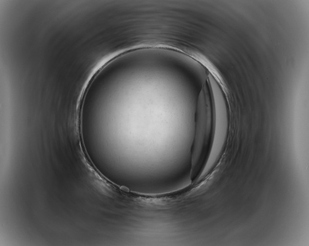X0000087381004200704201242