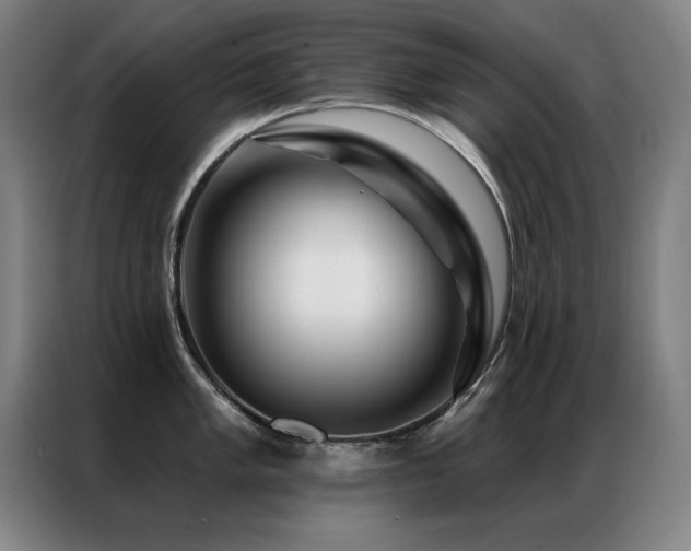 X0000087381005200704201242