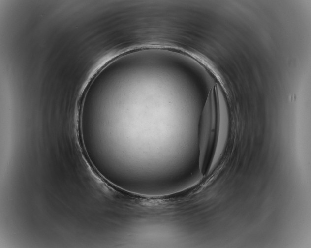 X0000087381006200704201242