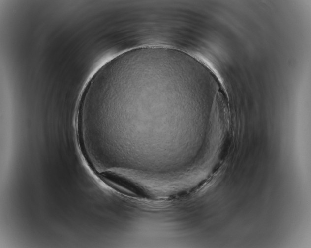 X0000087381007200704201242