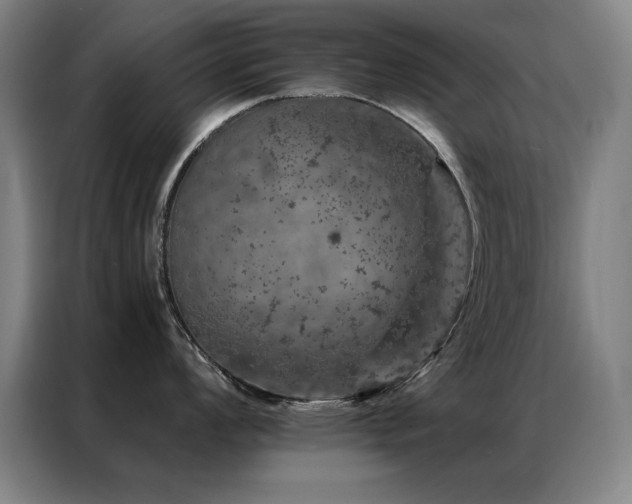 X0000087381008200704201242