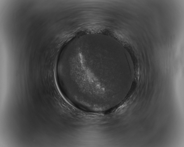 X0000087381010200704201241