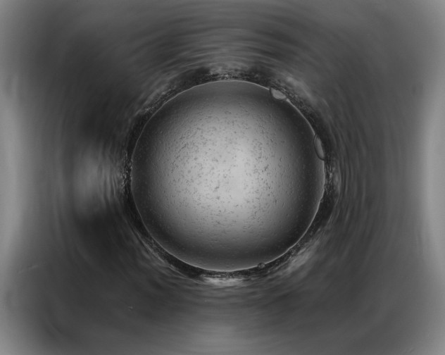 X0000087381012200704201241